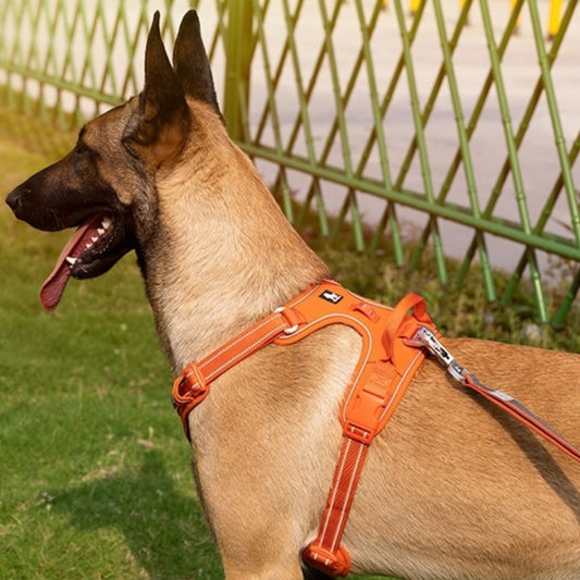 Arnés Reflectante para Perros con Correa de Mano – Máxima Seguridad y Control