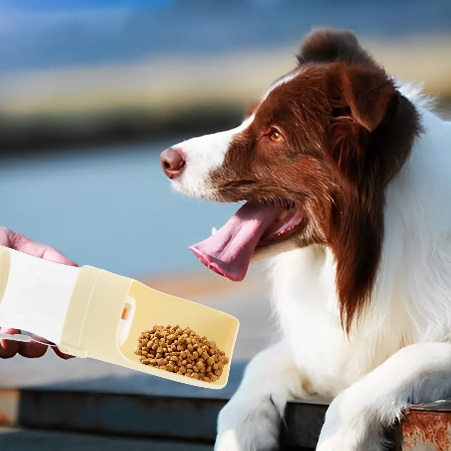 Botella de Agua 2 en 1 para Viajes con Perros - Dispensador Portátil y Alimentador | Accesorios para Mascotas